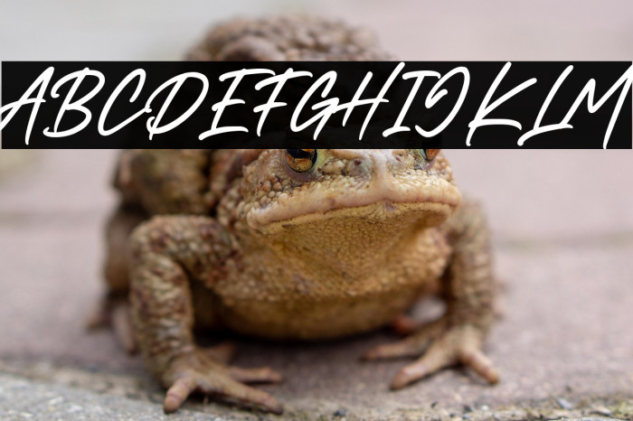 Dark Twenty Example 2