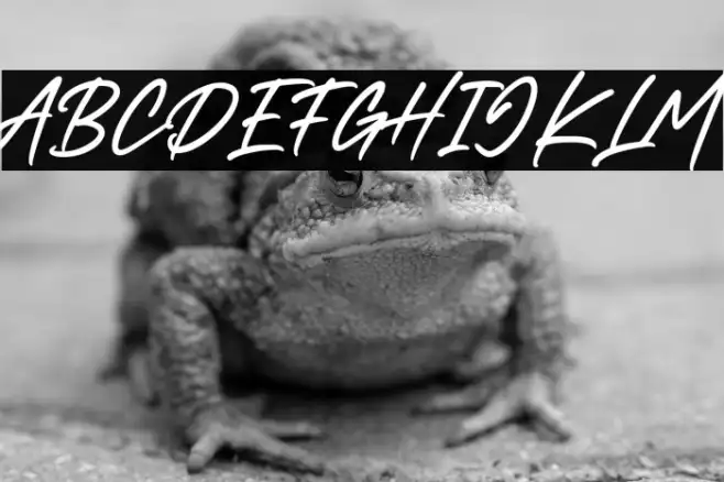 Dark Twenty Example 2