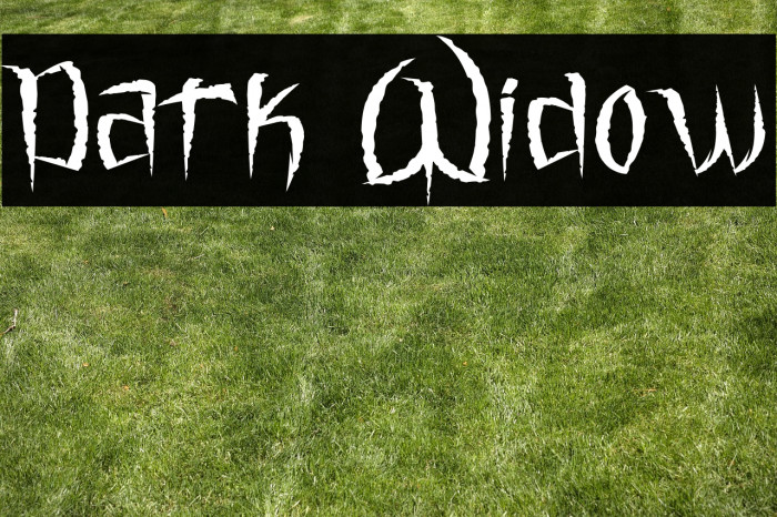 Dark Widow Example 1