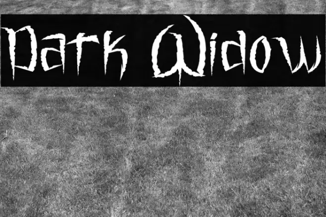 Dark Widow Example 1