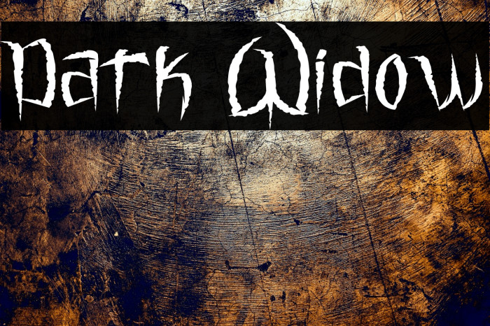 Dark Widow Example 2