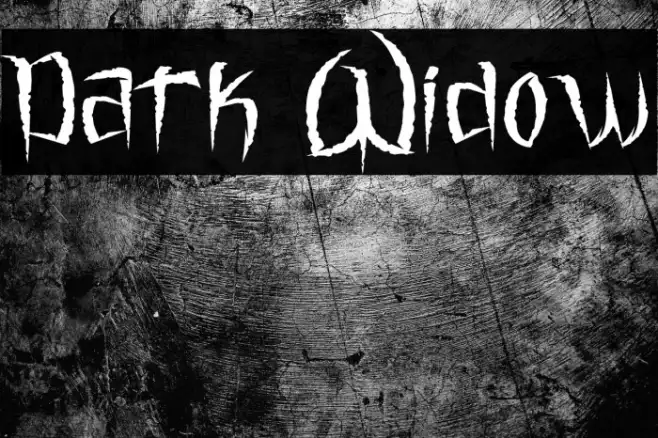 Dark Widow Example 2