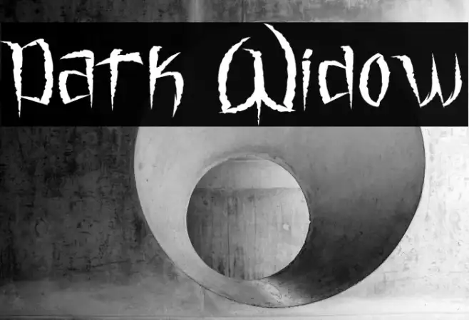 Dark Widow Example 3