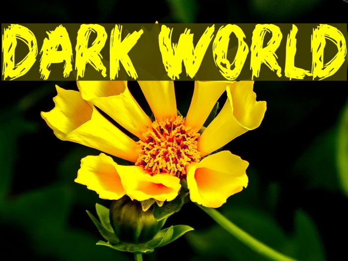 Dark World Font examples