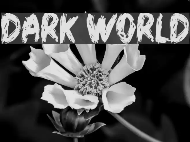 Dark World Example 2