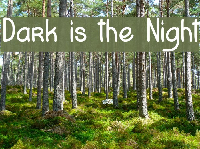 Dark is the Night Font examples
