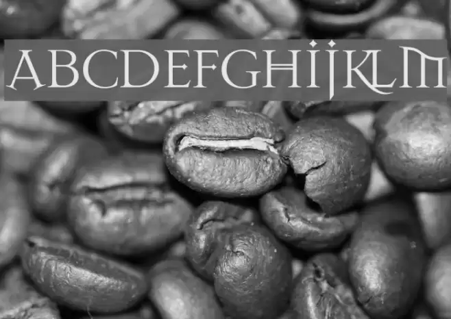 Dark11 Font examples