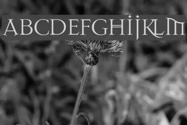 Dark11 Font examples