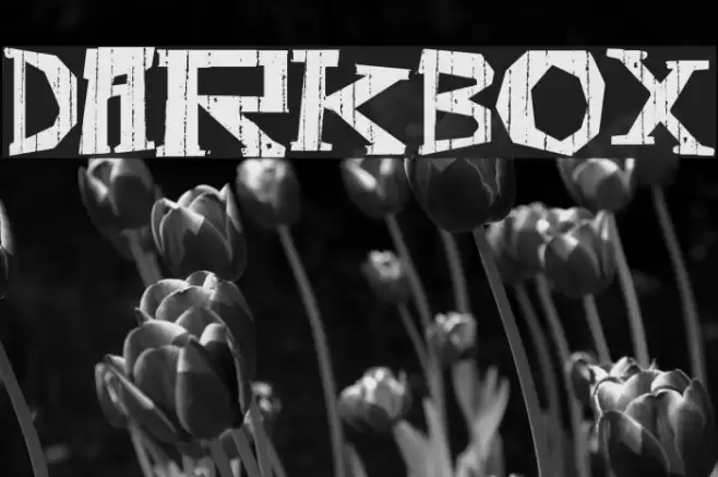 DarkBox Font examples