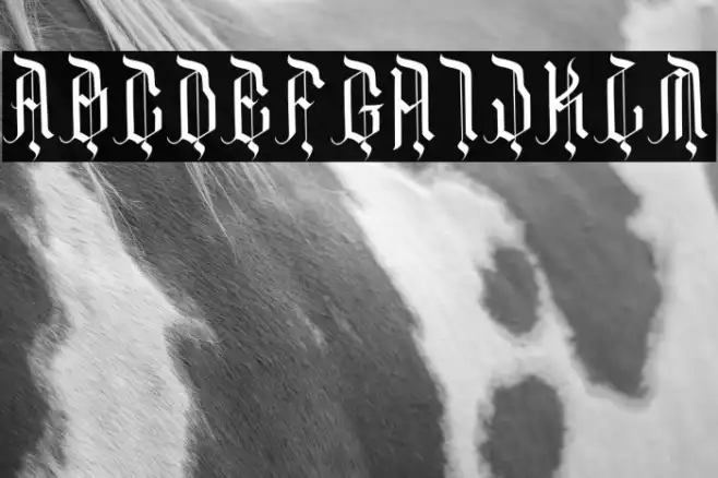 DarkFamily Example 1