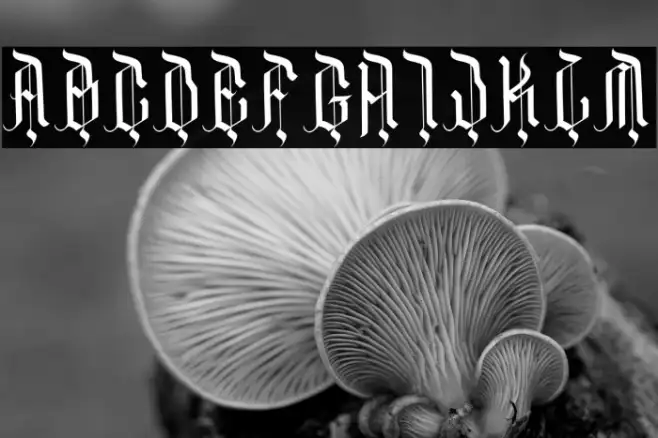 DarkFamily Example 2