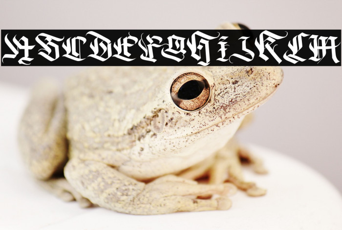 DarkGuitar Example 1