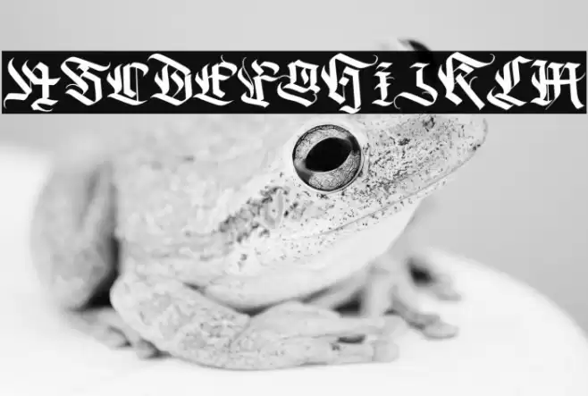 DarkGuitar Font examples