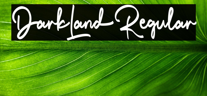 DarkLand-Regular Example 2