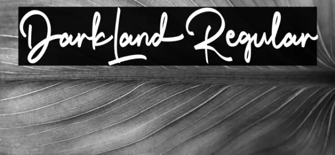 DarkLand-Regular Example 2