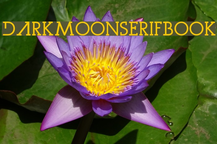 DarkMoonSerifBook Font examples