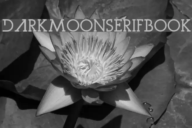 DarkMoonSerifBook Font examples