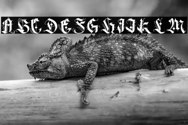 DarkOpera Example 3