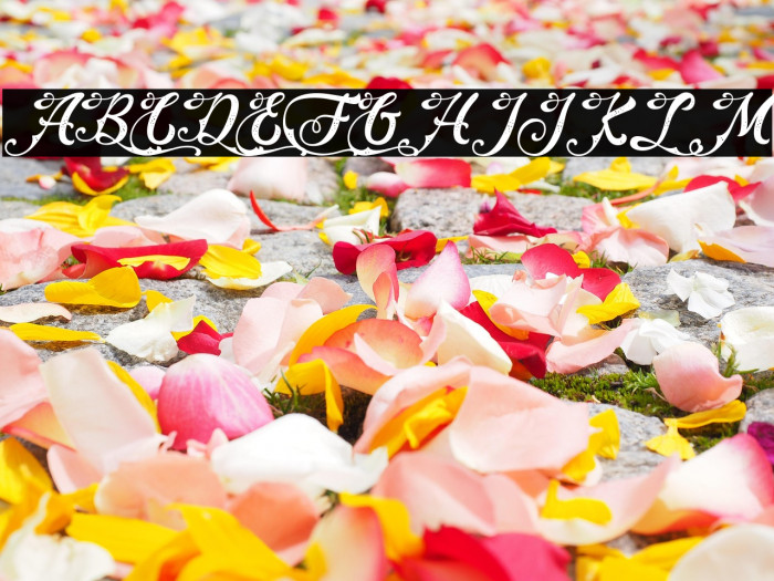 DarkSeventh-PersonalUse Example 2