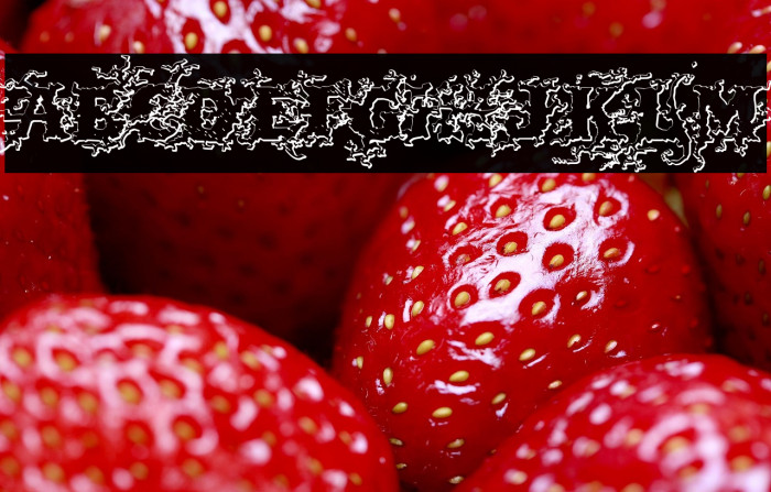 DarkWoodBeveled Example 3