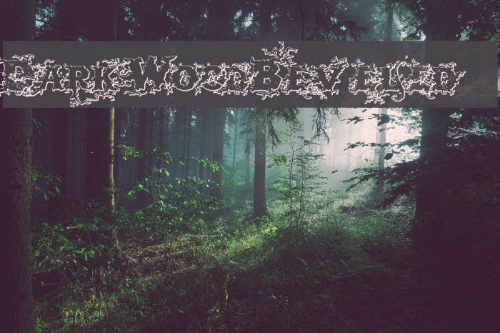 DarkWoodBeveled Schriftart examples