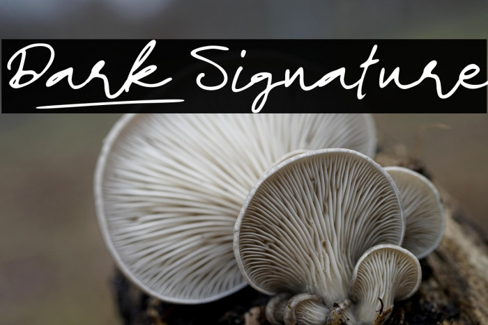 Dark_Signature Example 1