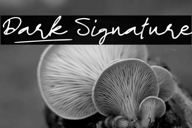 Dark_Signature Font examples