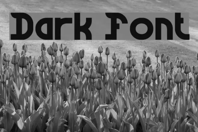 Dark Example 3