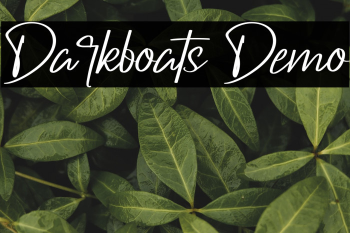 Darkboats Demo Example 3