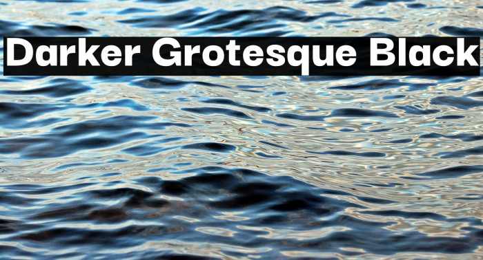 Darker Grotesque Black Font examples