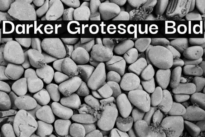 Darker Grotesque Bold Font examples