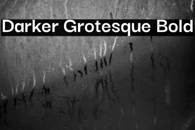 Darker Grotesque Bold Font examples