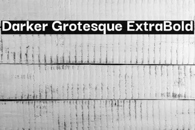 Darker Grotesque ExtraBold Example 1