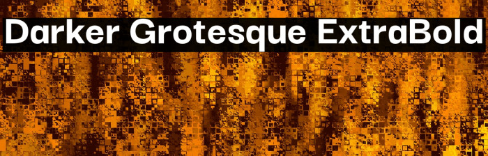 Darker Grotesque ExtraBold Font examples