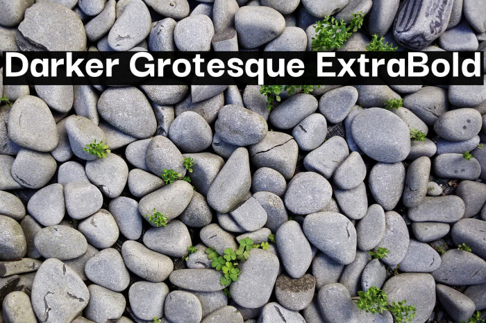 Darker Grotesque ExtraBold Font examples