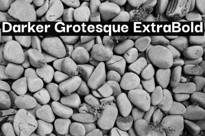 Darker Grotesque ExtraBold Example 3