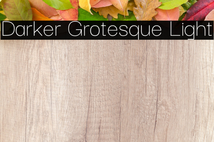 Darker Grotesque Light Font examples