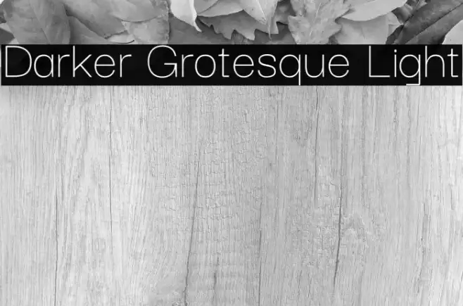Darker Grotesque Light Example 1