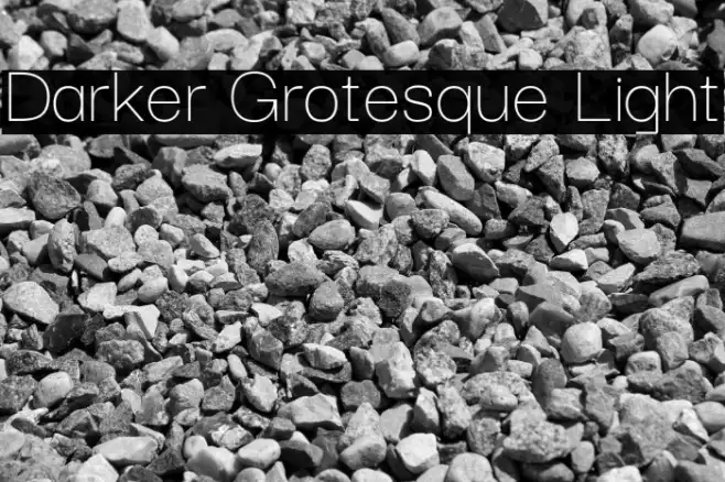 Darker Grotesque Light Example 3