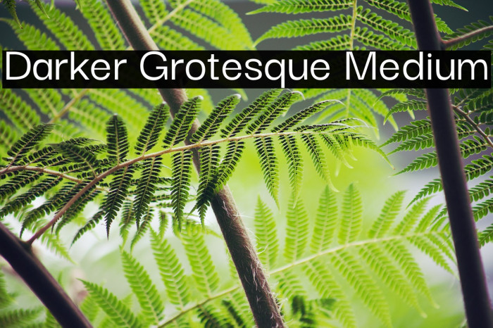 Darker Grotesque Medium Font examples