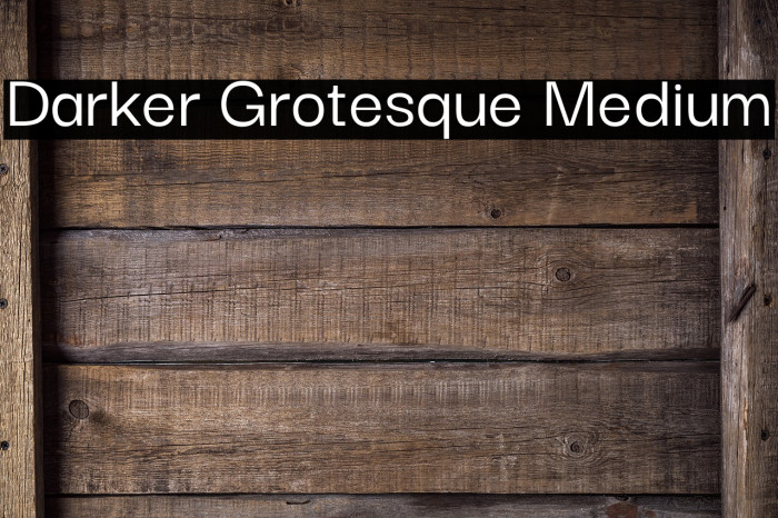 Darker Grotesque Medium Font examples
