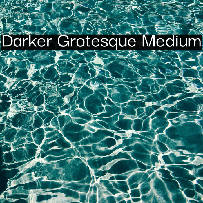 Darker Grotesque Medium Font examples