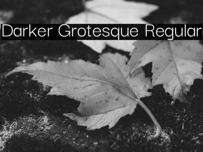 Darker Grotesque Regular Example 1