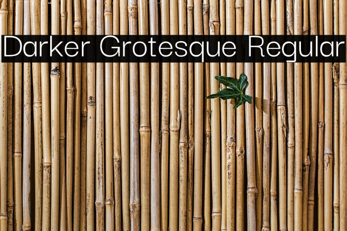 Darker Grotesque Regular Font examples