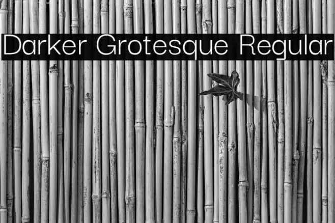 Darker Grotesque Regular Example 3