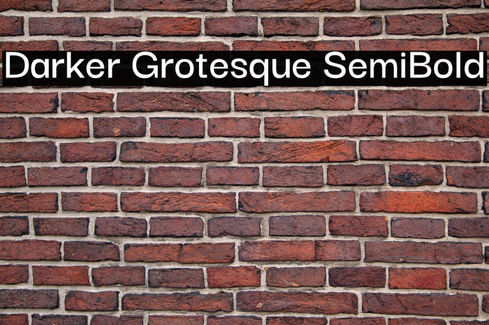 Darker Grotesque SemiBold Example 3