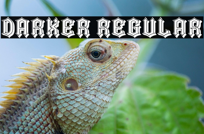 Darker Regular Example 1