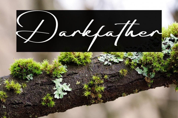 Darkfather Example 1