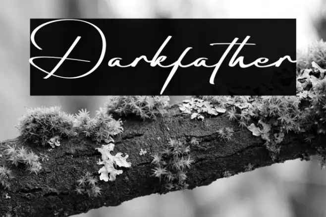 Darkfather Example 1