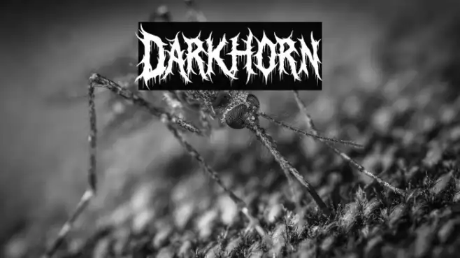 Darkhorn Example 3
